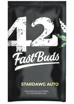 Stardawg Auto - картинка 15