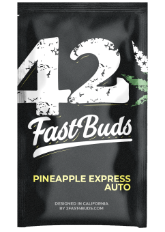 Pineapple Express auto - картинка 11